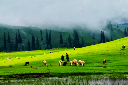 Naran Shogran Holiday Package