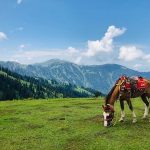 Naran Lalazar Trip Package