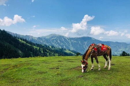 Naran Lalazar Trip Package