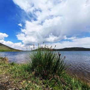 Deosai Plain