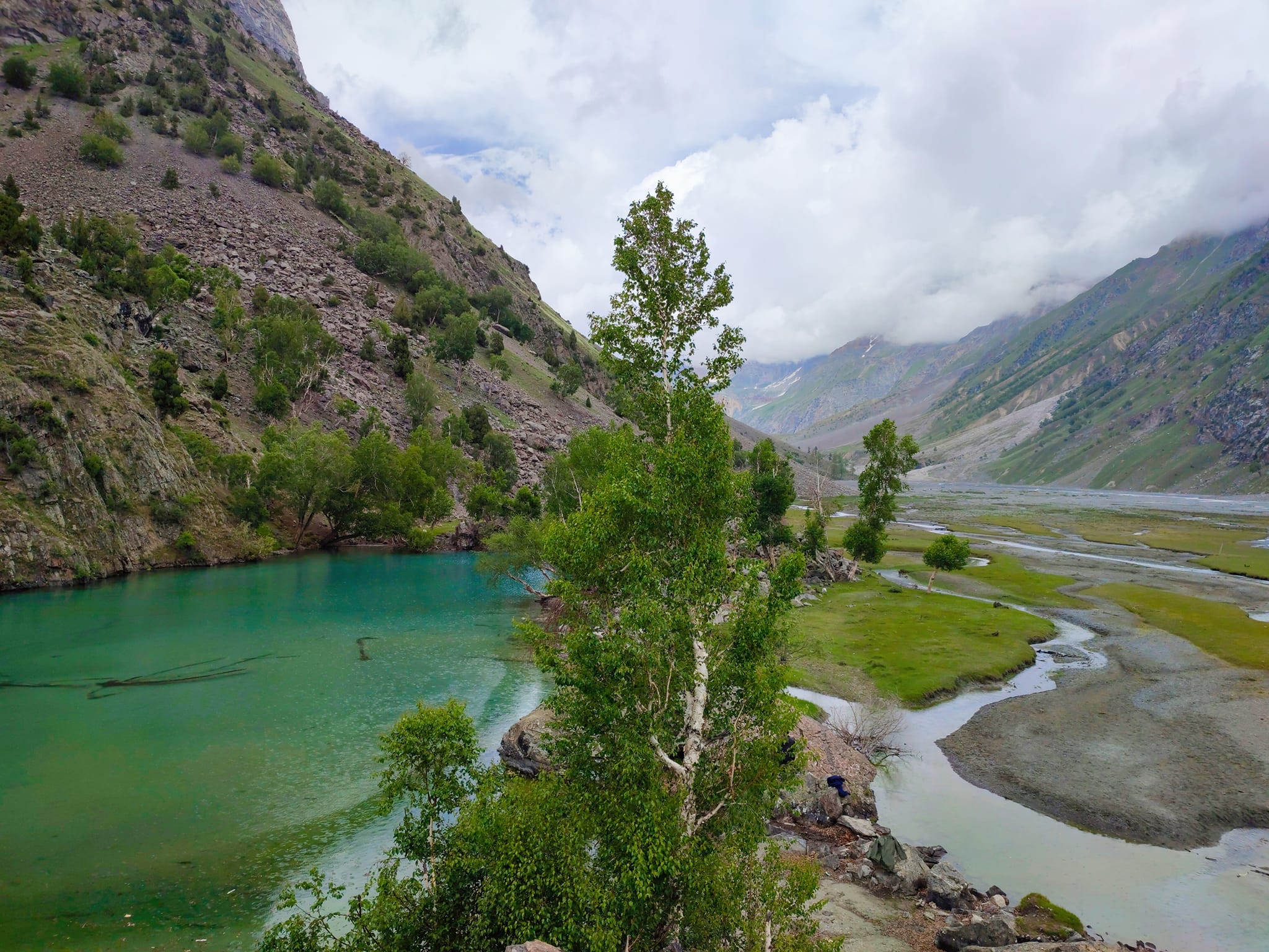 Naltar Valley Hunza Poimt