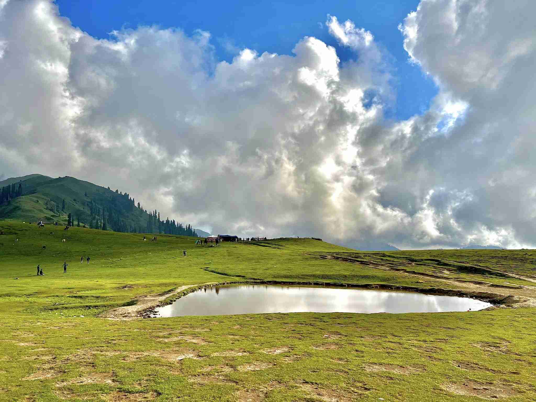 Paye Meadows Lake